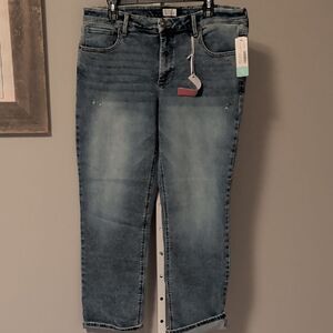 Market & Spruce Light Blue Ankle Jeans